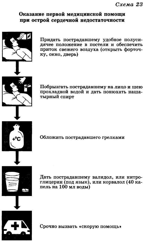 Реферат: Первая медицинская помощь при острой сердечной недостаточности